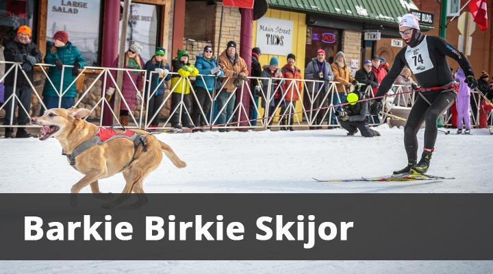 Barkie Birkie Skijor