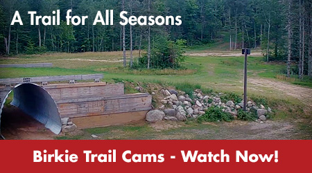 A Trail for All Seasons - Birkie Trail Cams - Watch Now!