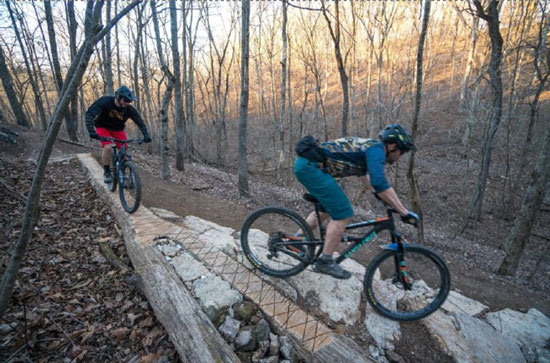 Two mountain bikers riding a log